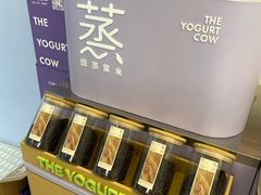 -一只酸奶牛(洪崖洞11楼店)