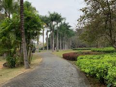 -中国科学院西双版纳热带植物园