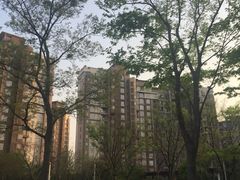 -新江湾城公园