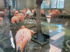 -太原动物园