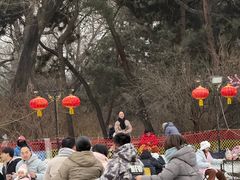-北陵公园