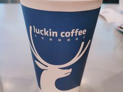 -瑞幸咖啡(东直门枢纽店)