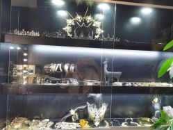-鼎极摄影(世纪金源店)