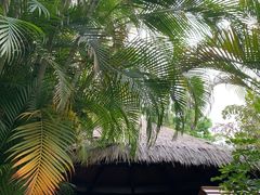 -厦门日月谷温泉渡假村