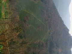 android_upload_pic-武当山风景区