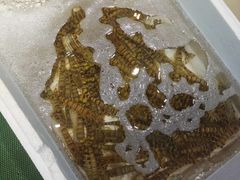 -威海海鲜王(窑头路店)