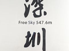 -平安金融中心云际观光层