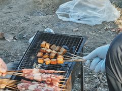 -西青郊野公园