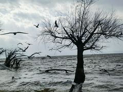 -捞渔河湿地公园