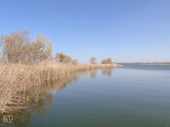 -野鸭湖国家湿地公园