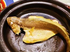 -大浪潮·潮汕菜·招牌生腌小青龙(福田店)