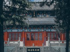 -洛阳白马寺