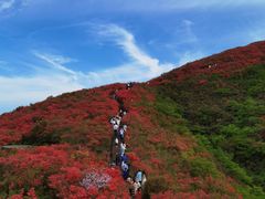 -大围山国家森林公园