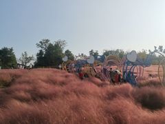 -金孔雀温泉旅游度假村