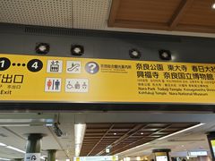 -奈良公园