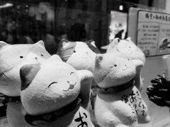 -墨格(浦东嘉里城店)