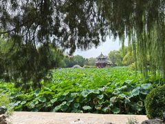 -莲池书院博物馆