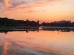 -马家湾湿地公园