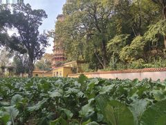 -宝通禅寺