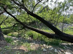 -白水寺森林公园