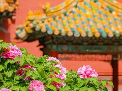 -故宫博物院(故宫)