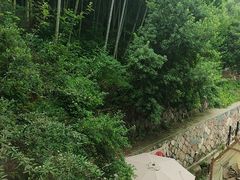 -莫干山风景区