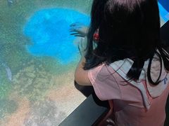 -珠海横琴国家地理探险家中心(创新方)