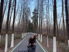 -合肥滨湖国家森林公园