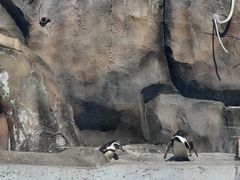 -武汉动物园