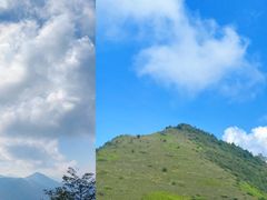 -南山植物园