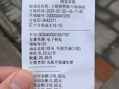 -中国石油加油站(严桥路站)