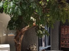 -海门鱼仔·潮汕味(百信广场西区店)