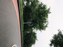 -仙岳公园