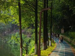 -重庆彩云湖湿地公园