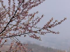 -白水寺森林公园