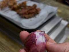-海波肉串(金顶山大街店)
