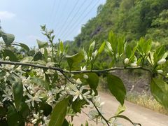 -宜昌富力皇冠假日酒店·咖啡1号西餐厅