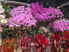 -Olé精品超市(广州太古汇店)