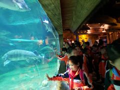 -华夏文旅海洋公园