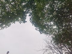 -咸宁万豪温泉谷度假区