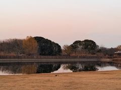 -梁鸿国家湿地公园