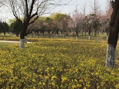 -洨河生态公园