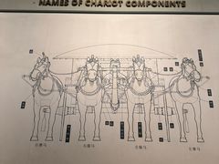 -秦始皇帝陵博物院-丽山园