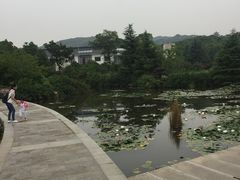 -白马涧龙池景区