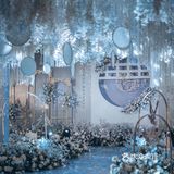 我已是脚步蹒跚，白了发