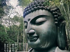 -杭州植物园
