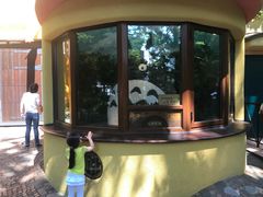 -三鹰之森吉卜力美术馆