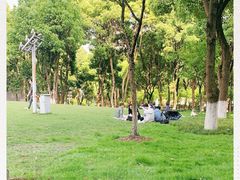 -重庆市江北嘴中央商务区中央公园