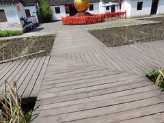 -溱湖国家湿地公园