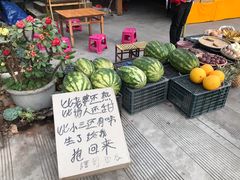 -瑞丽独树成林风景区